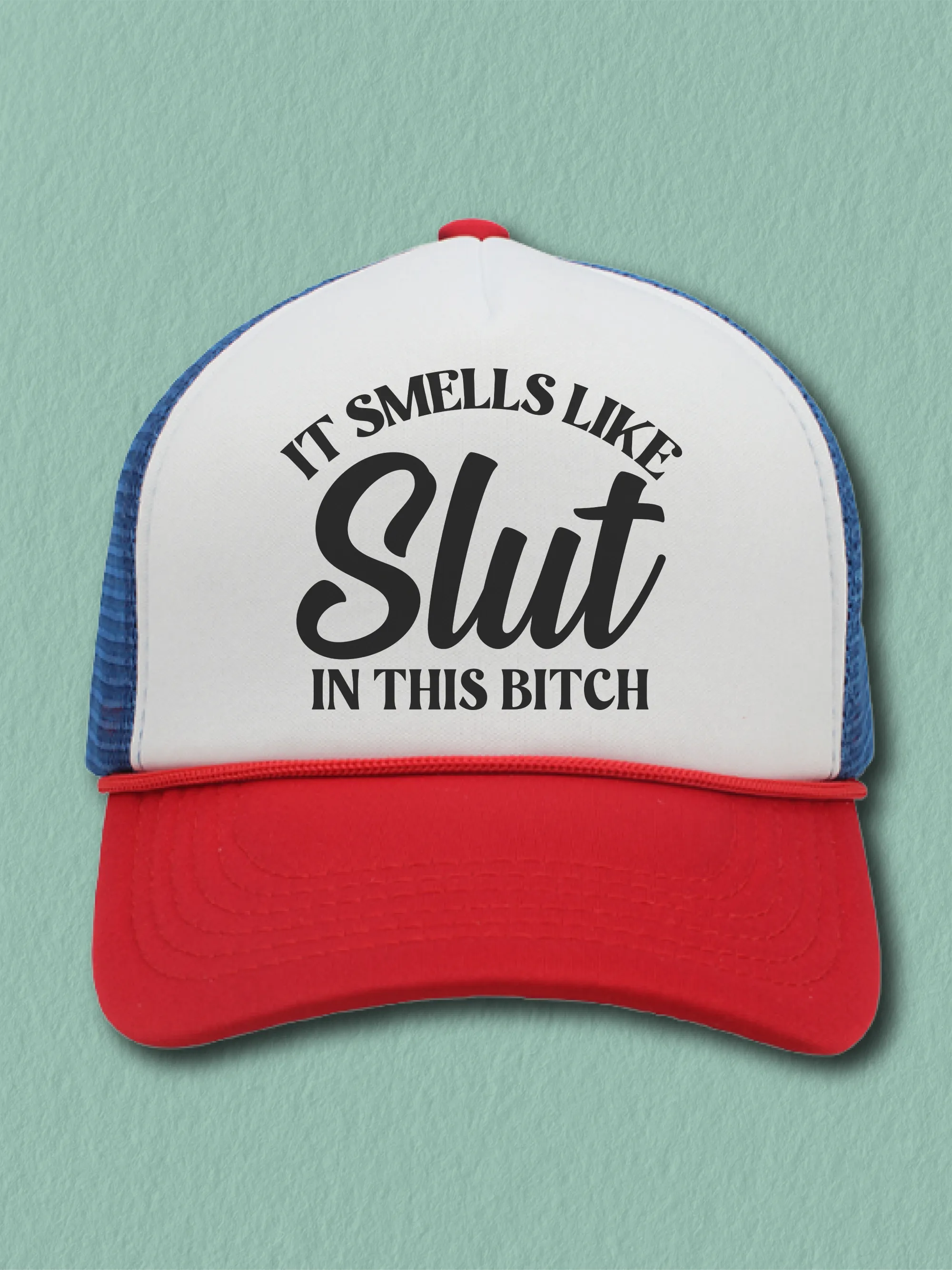 It Smells Like S--t In This B--ch (Hat)