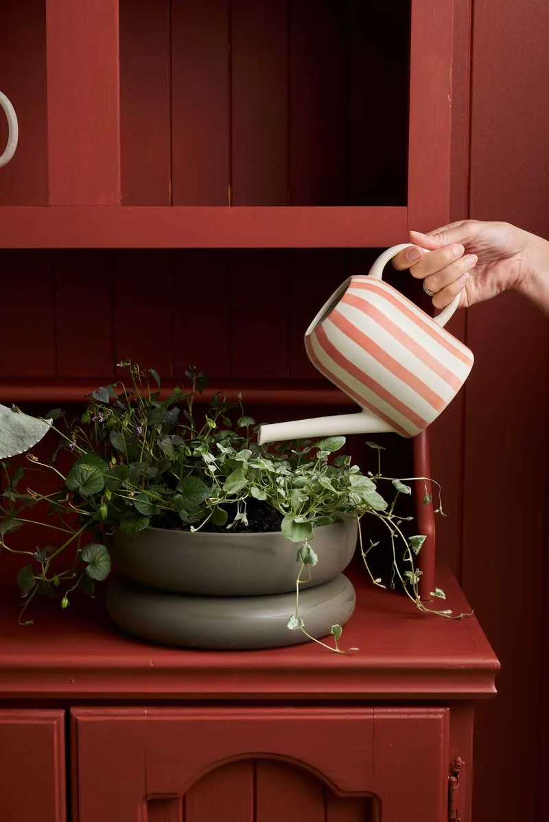 Watering Can - Coral Plant Parent